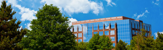 在线轰炸电话网页版免费测试